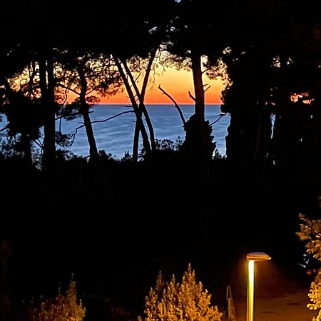 Robi Appartement Rovinj Buitenkant foto